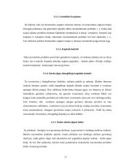 Ekonomikos augimas, jo veiksniai ir pasekmės 11 puslapis