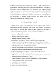 Ekonomikos augimas, jo veiksniai ir pasekmės 17 puslapis