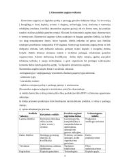 Ekonomikos augimas, jo veiksniai ir pasekmės 9 puslapis