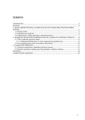 Ekonomikos globalizacija 2 puslapis