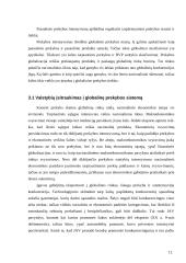 Ekonomikos globalizacija 12 puslapis