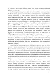 Ekonomikos globalizacija 13 puslapis