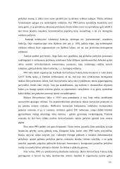 Ekonomikos globalizacija 16 puslapis