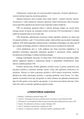 Ekonomikos globalizacija 18 puslapis