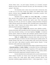 Ekonomikos stabilizacija ir jos mechanizmas 7 puslapis