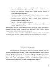 Ekonominė integracija į Europos Sąjungą (ES) 14 puslapis