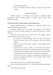 Ekonominė integracija, globalizacija, regioninė integracija – pasekmės verslui 14 puslapis