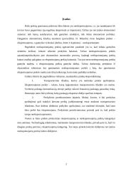 Eksportuojamų ir neeksportuojamų prekių įtaka pragyvenimo lygiui išsivysčiusiose ir besivystančiose šalyse 2 puslapis