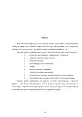 Eksportuojamų ir neeksportuojamų prekių įtaka pragyvenimo lygiui išsivysčiusiose ir besivystančiose šalyse 20 puslapis