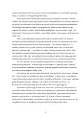 Eksportuojamų ir neeksportuojamų prekių įtaka pragyvenimo lygiui išsivysčiusiose ir besivystančiose šalyse 4 puslapis