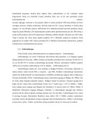 Eksportuojamų ir neeksportuojamų prekių įtaka pragyvenimo lygiui išsivysčiusiose ir besivystančiose šalyse 10 puslapis