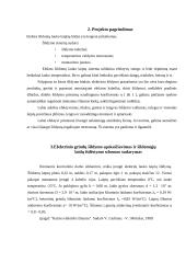 Elektra šildomos grindys 4 puslapis