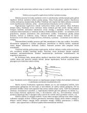 Elektroninis galios keitiklis 6 puslapis
