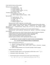 Elektroninis galios keitiklis 10 puslapis