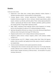 Elektroninių rinkų segmentavimas 18 puslapis