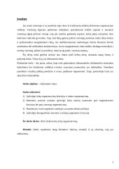 Elektroninių rinkų segmentavimas 3 puslapis