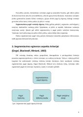 Elektroninių rinkų segmentavimas 6 puslapis