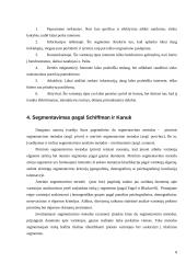 Elektroninių rinkų segmentavimas 8 puslapis