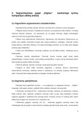 Elektroninių rinkų segmentavimas 9 puslapis