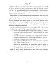 Elektros energijos eksporto iš Lietuvos analizė: būklė, problemos, perspektyvos 2 puslapis