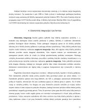 Europos Sąjungos (ES) bendra prekybos politika su trečiosiomis šalimis 11 puslapis