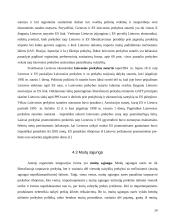 Europos Sąjungos (ES) bendra prekybos politika su trečiosiomis šalimis 14 puslapis