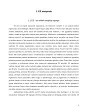 Europos Sąjungos (ES) bendra prekybos politika su trečiosiomis šalimis 4 puslapis