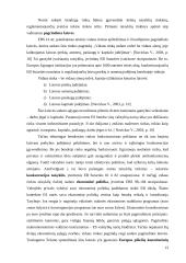 Europos Sąjungos (ES) bendroji rinka, kaip ekonominės integracijos forma 13 puslapis