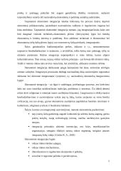 Europos Sąjungos (ES) bendroji rinka, kaip ekonominės integracijos forma 5 puslapis