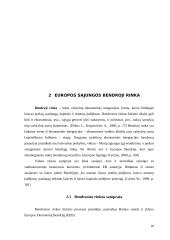 Europos Sąjungos (ES) bendroji rinka, kaip ekonominės integracijos forma 10 puslapis