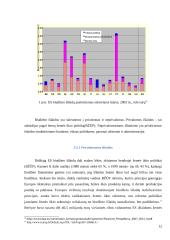 Europos Sąjungos biudžetas 11 puslapis