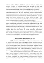 Europos Sąjungos (ES) biudžeto perspektyva 2007-2013 metais 12 puslapis