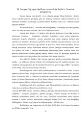 Europos Sąjungos (ES) biudžeto perspektyva 2007-2013 metais 17 puslapis