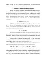 Europos Sąjungos (ES) biudžeto perspektyva 2007-2013 metais 6 puslapis