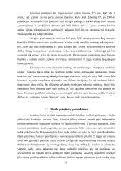 Europos Sąjungos (ES) biudžeto perspektyva 2007-2013 metais 8 puslapis