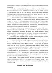 Europos Sąjungos (ES) struktūrinių fondų parama Lietuvos verslui 20 puslapis