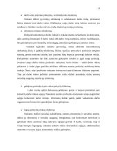 Europos Sąjungos (ES) užimtumo strategija ir jos įgyvendinimas Lietuvoje 12 puslapis