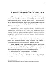 Europos Sąjungos (ES) užimtumo strategija ir jos įgyvendinimas Lietuvoje 5 puslapis