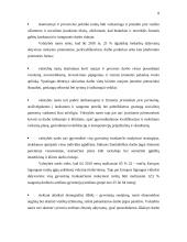 Europos Sąjungos (ES) užimtumo strategija ir jos įgyvendinimas Lietuvoje 7 puslapis