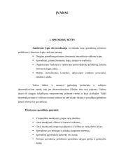 Faktai ir vertybės priimant sprendimus 1 puslapis