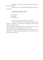 Faktai ir vertybės priimant sprendimus 17 puslapis