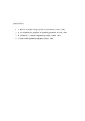 Faktai ir vertybės priimant sprendimus 19 puslapis
