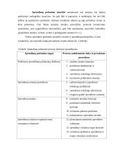 Faktai ir vertybės priimant sprendimus 4 puslapis