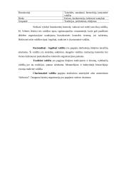 Faktai ir vertybės priimant sprendimus 10 puslapis