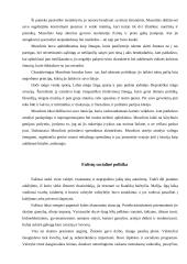 Fašizmas Italijoje 7 puslapis