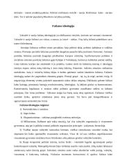 Fašizmas Italijoje 8 puslapis