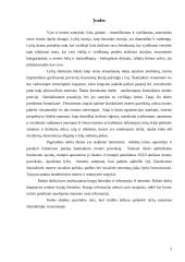 Feminizmo samprata 2 puslapis