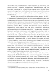 Feminizmo samprata 11 puslapis