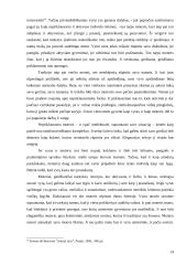 Feminizmo samprata 13 puslapis