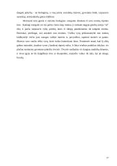 Feminizmo samprata 16 puslapis